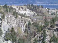 Trout Creek