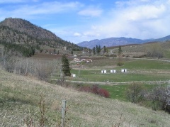 Vineyards