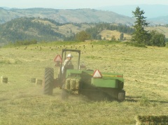Hay Farmer