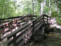Hiking Trails