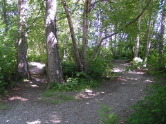 Hiking Trails