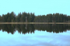 lake.jpg