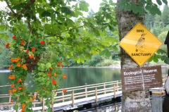 Floating Bridge