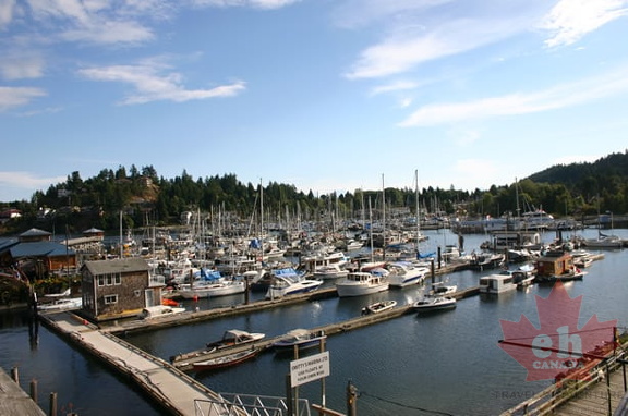 Gibsons Marina