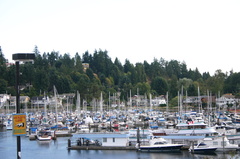 Gibsons Marina