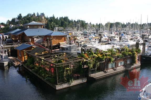 Gibsons Marina
