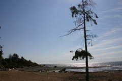 Beach at Chaster Park