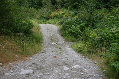 Elphinestone Loop mountain bike trail