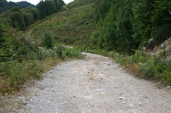 Trailhead at Elphinestone Loop mountain bike trail