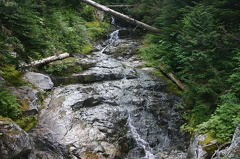 Elphinestone Loop mountain bike trail