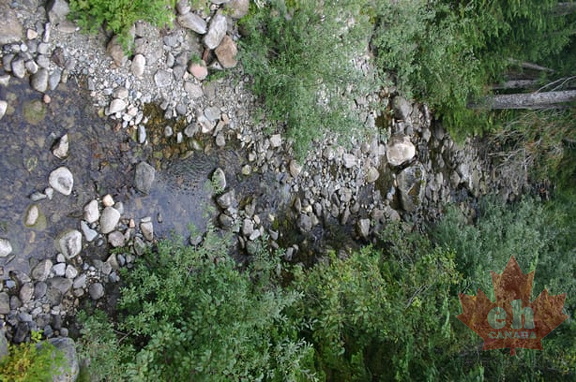 Elphinestone Loop Trail creek