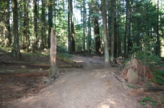 Sprockids Mountain Bike Park
