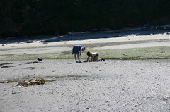Digging for Something?