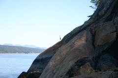 Green Point