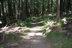 Sunshine Coast Trail