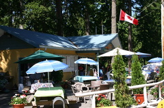 Outdoor  Concession Stand