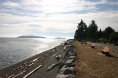 waterfront_beach 001.jpg