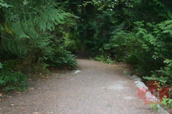 Angus Creek Trail