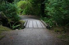 Angus Creek Trail