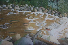 Chapman Creek Nature Trail