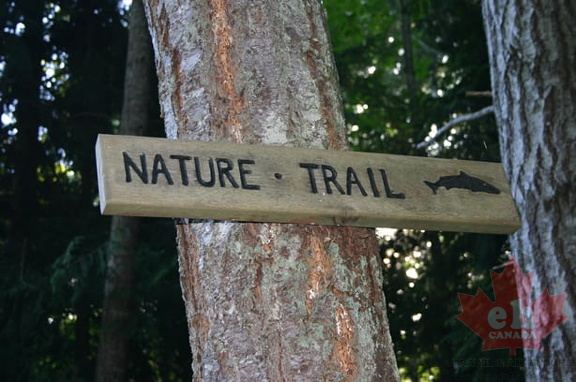 Chapman Creek Nature Trail