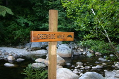 Chapman Creek Nature Trail