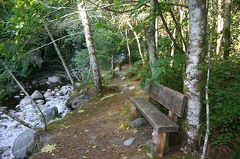 Chapman Creek Nature Trail