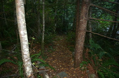 Chapman Creek Nature Trail