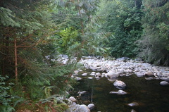 Chapman Creek Nature Trail