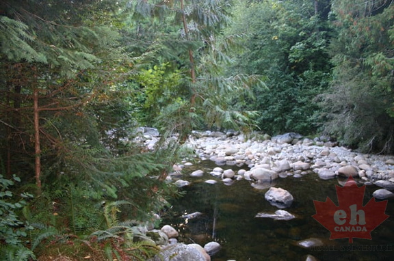 Chapman Creek Nature Trail
