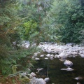 Chapman Creek Nature Trail
