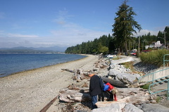 Davis Bay