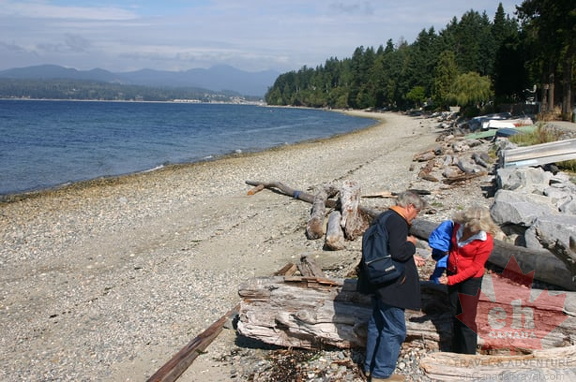 Davis Bay