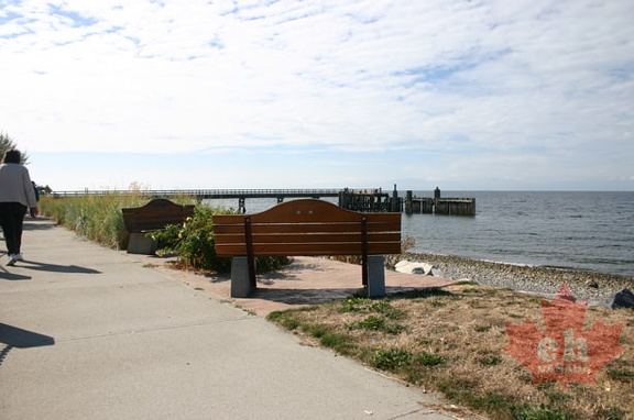 Davis Bay