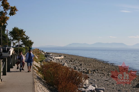 Davis Bay