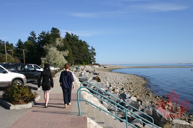 Davis Bay
