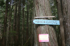 Hidden Grove Trail