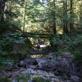 Homesite Creek Trail