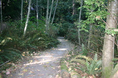 Kinnikinnick Park