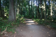 Kinnikinnick Park