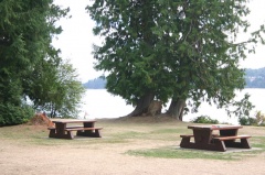 Porpoise Bay Park