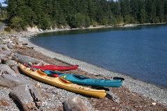 Shelter Point Park