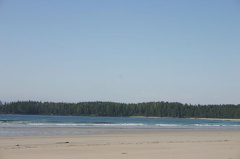 Nels Bight Beach