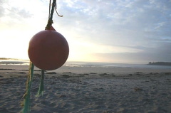 Buoy what a Sunrise