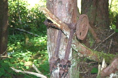 Settlement Remains