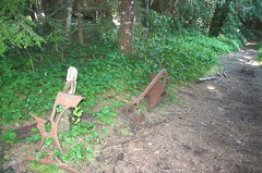 Historic Artifacts