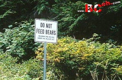 Do Not Feed Bears