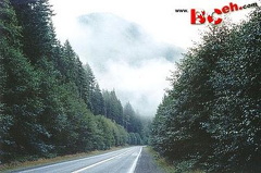 North Island Highway