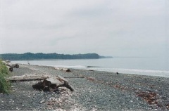Pebbled Beach