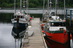 governmentdocks 003.jpg